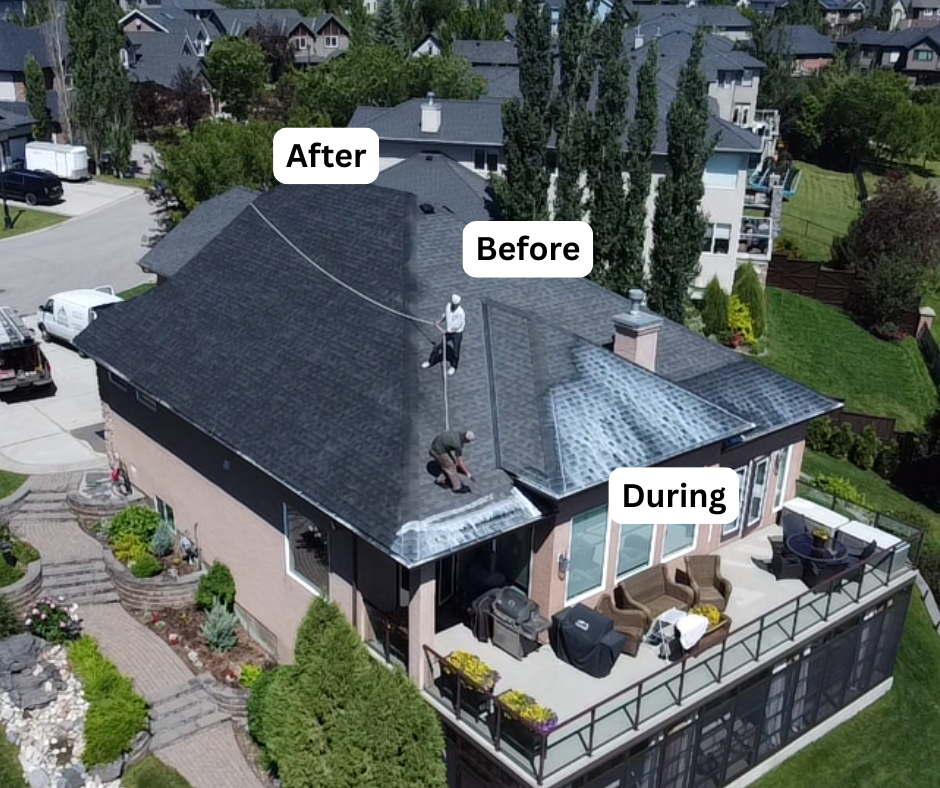 Roof before, during, and after GreenSoy rejuvenation — Cache Valley home
