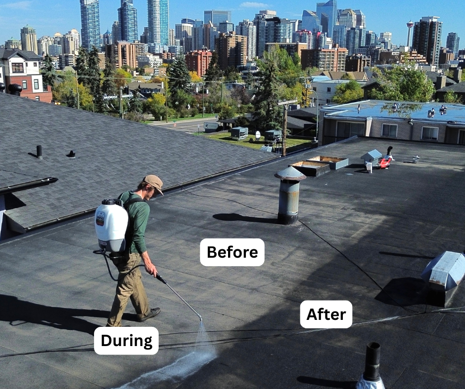 Low-slope roof rejuvenation before and after with crew applying treatment